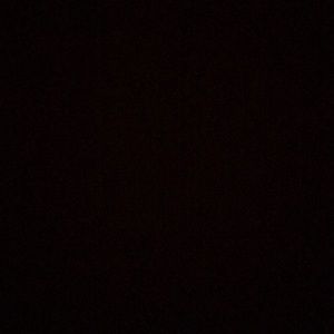 Meet your Posher, Halie